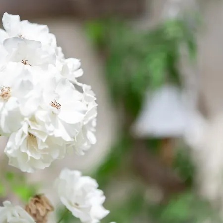 Bienvenue Chez Nous Mairé-l'Eveseault
